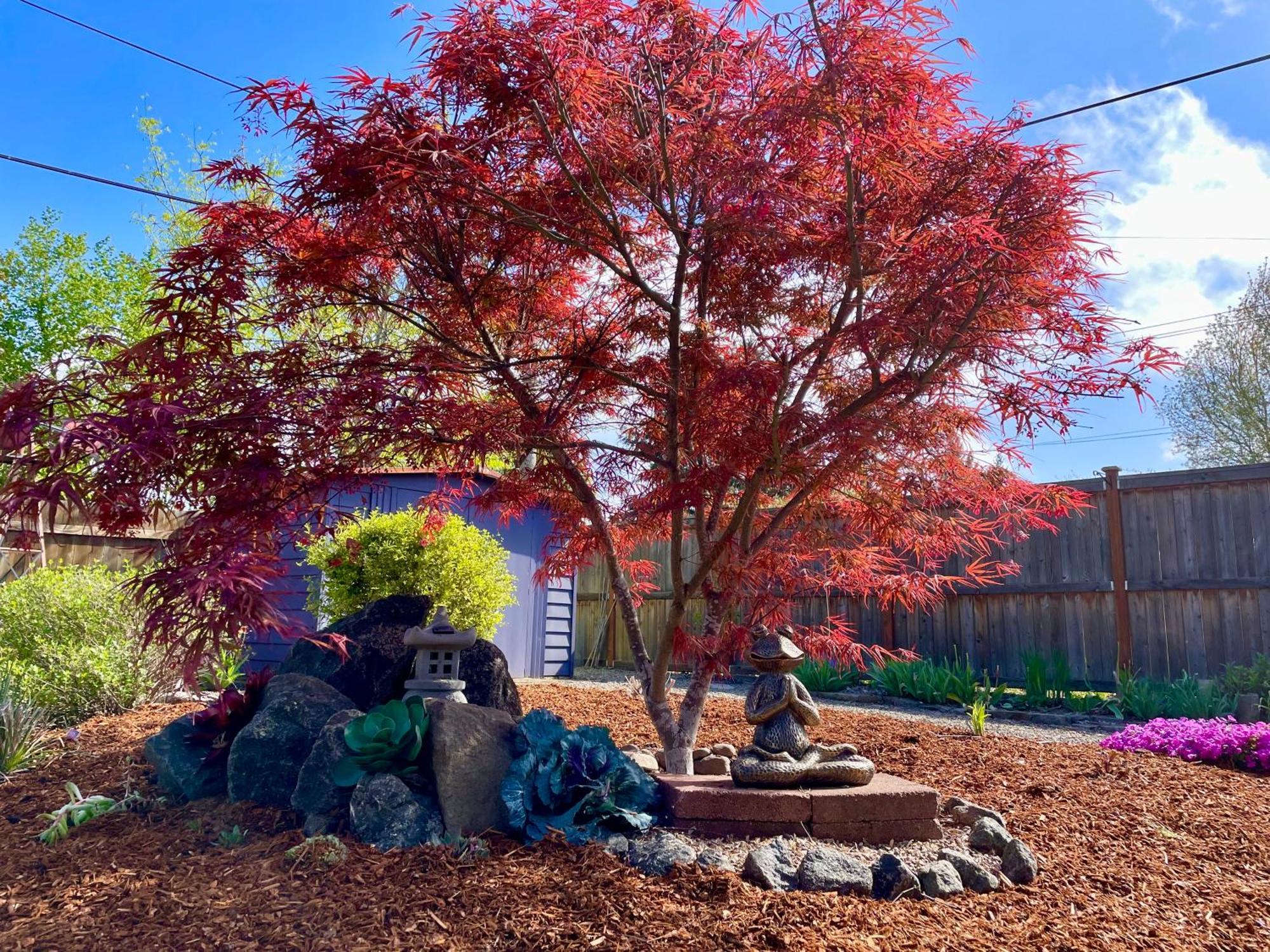 Colorful 50'S Ranch In The Heart Of Eugene Villa Dış mekan fotoğraf